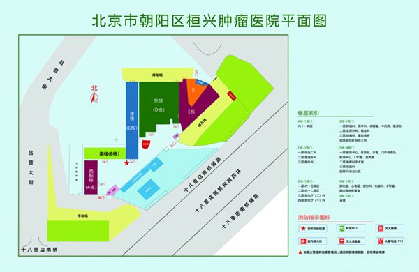 大鸡巴太大了操死我了视频北京市朝阳区桓兴肿瘤医院平面图